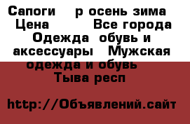 Сапоги 35 р.осень-зима  › Цена ­ 700 - Все города Одежда, обувь и аксессуары » Мужская одежда и обувь   . Тыва респ.